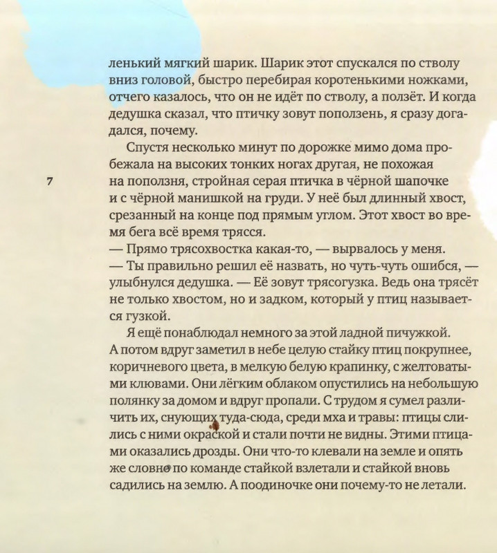 2015-page-0008