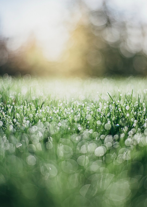 Screenshot_20240424_214403_Threads