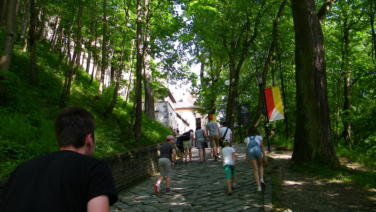 05.06 - 101_5311 (johny)