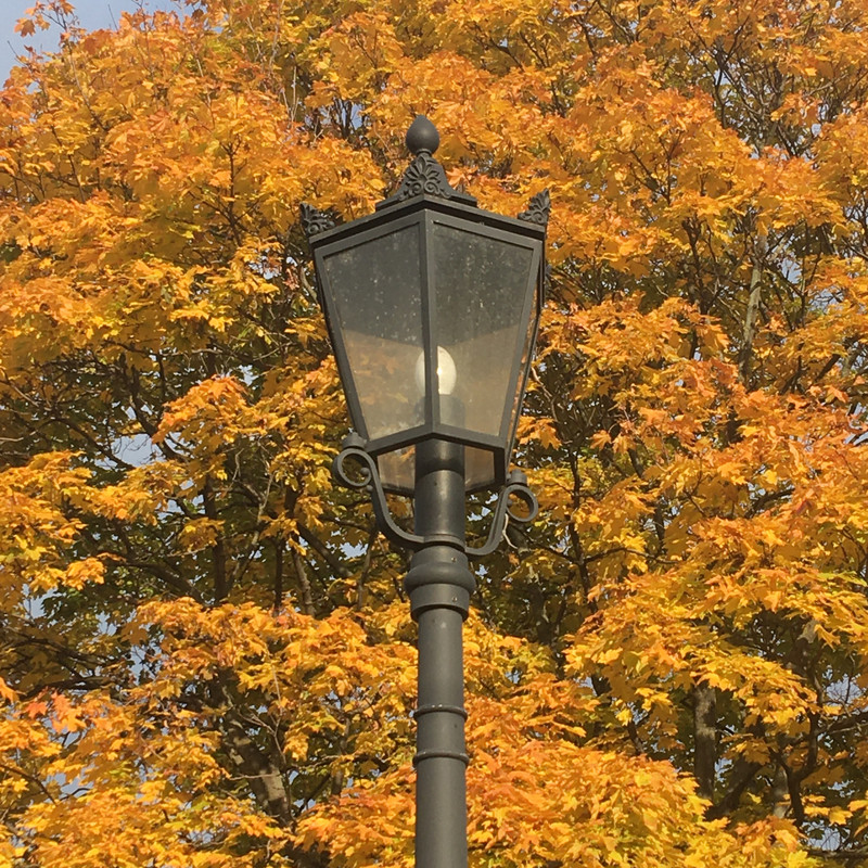 последнее с айфона 076