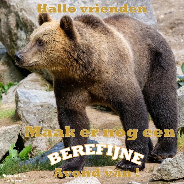 HTML leren