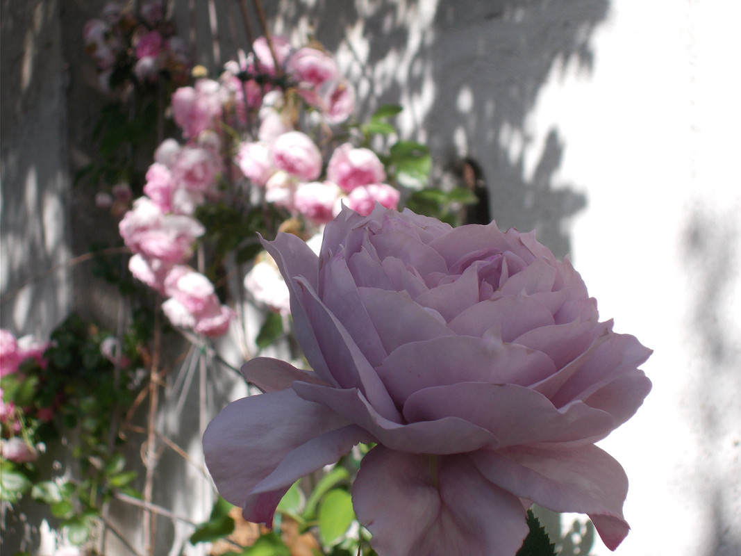 DSCN1575