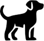 Cachorro