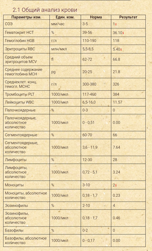 IMG 20251201 133719