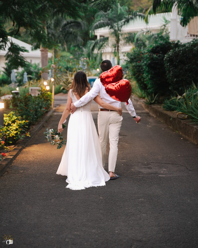 Portrait élégant de couple de mariés