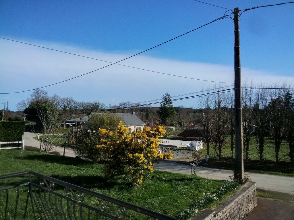 IMG-2022-03-17-16-23-20-356.jpg