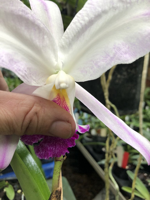 20221209_000120401_iOS