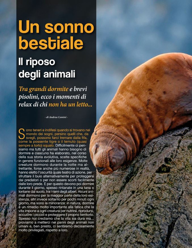 Argos Ago-Set 2022 (7)