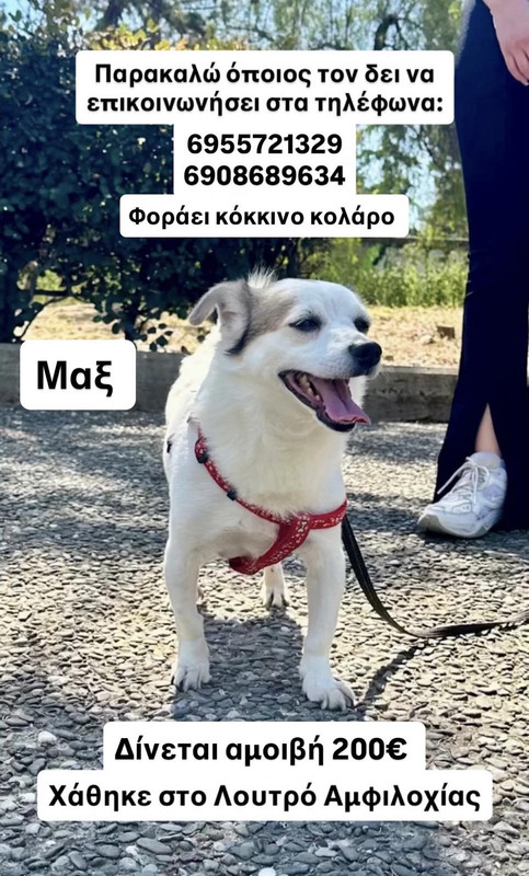 Κεραμίδι Βάλτου