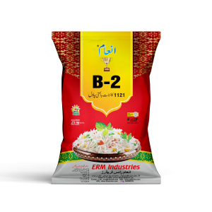 INAM B-2 SUPREME STEAM