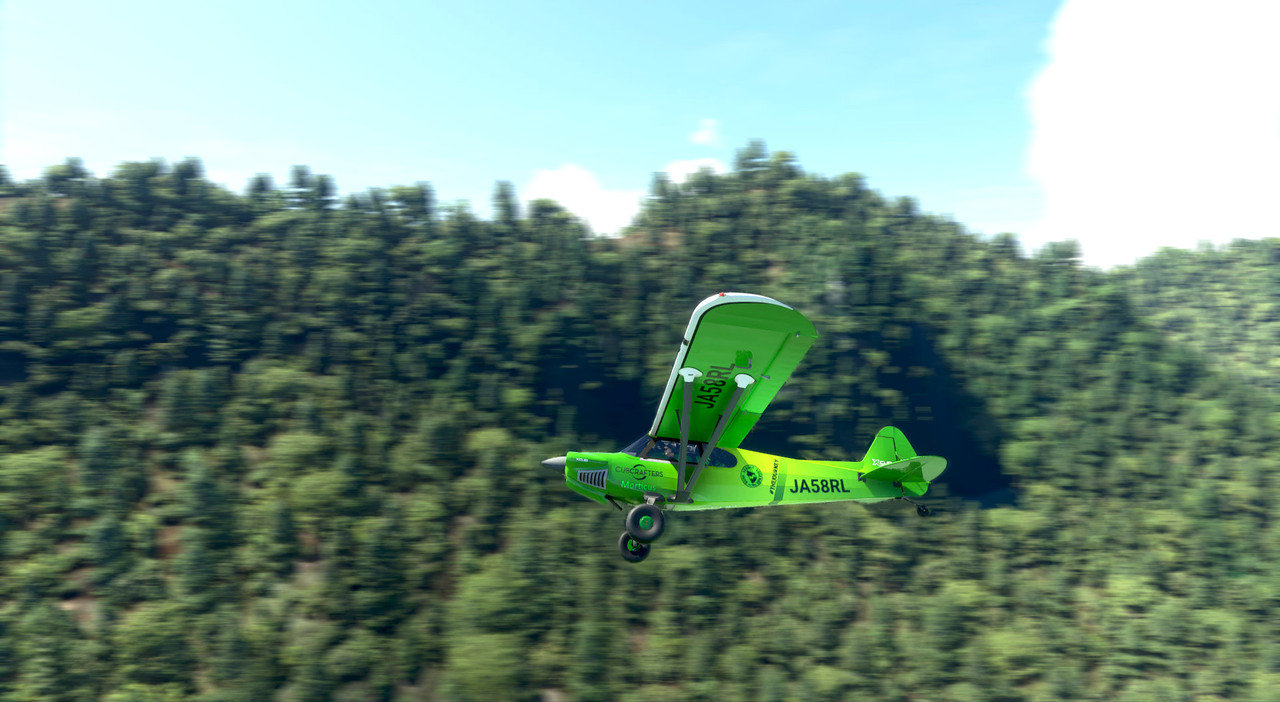 c112.jpg