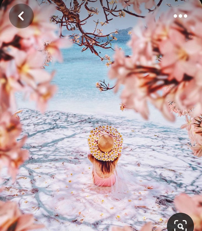 Screenshot_20230527_215916_Pinterest