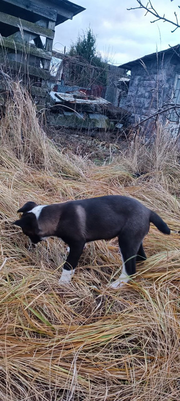 photo_14_2025-01-07_13-23-41