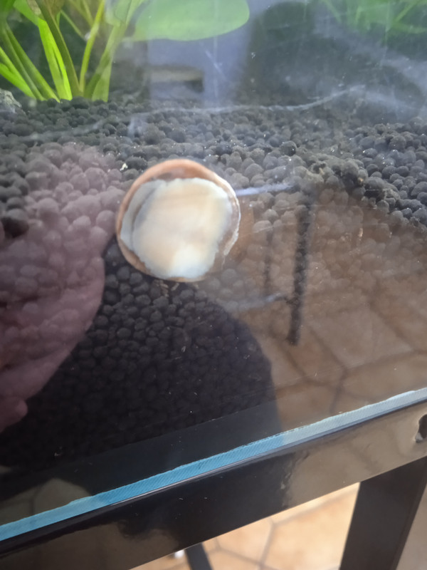 16806057171647288764241704803076