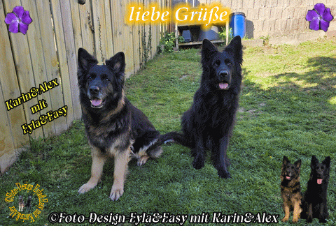 An den Beitrag angehängtes Bild: https://i.postimg.cc/J0nHKpSK/GB-29-05-2026-liebe-Grusse.gif