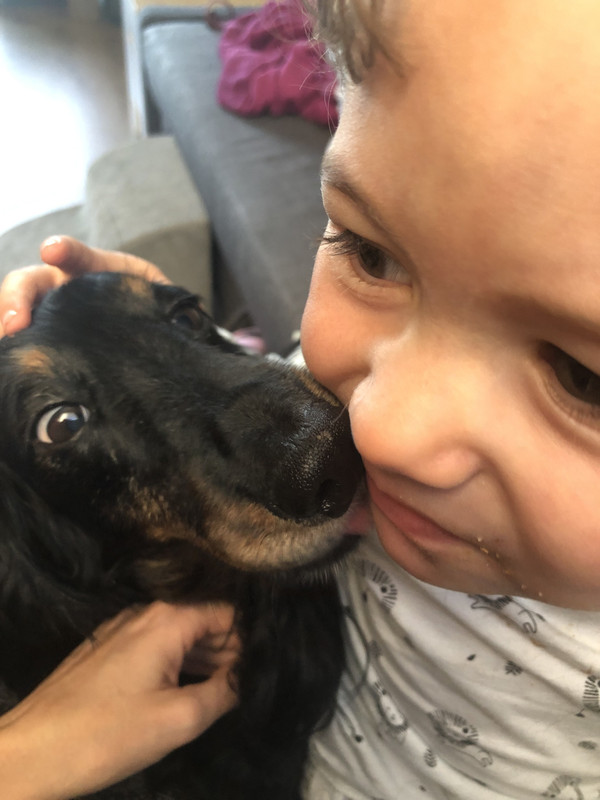 [Image: IMG-2901.jpg]