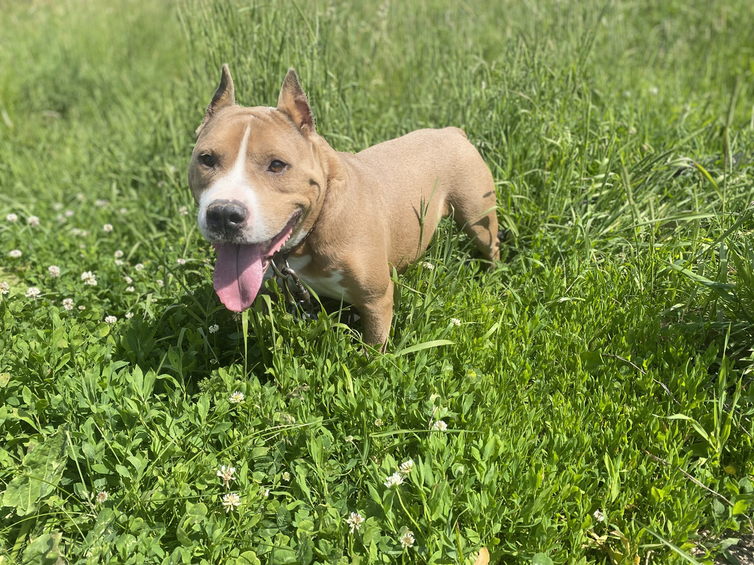 932132E4-AA7A-40A3-9733-4D6EA9A9AB0C