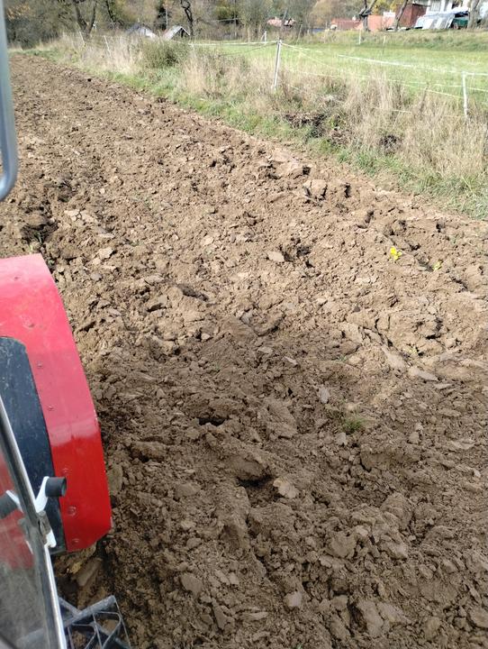 IMG 20251027 103210744