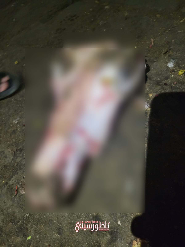 WhatsApp Image 2024-08-27 at 23.27.59 (1)