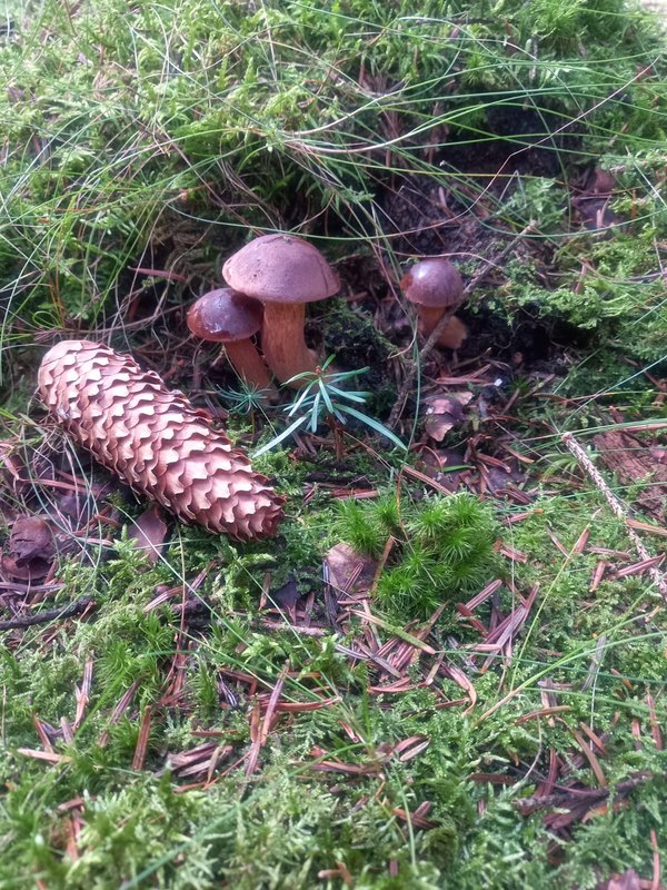 Изображение WhatsApp 2025-09-12 в 17.31.24_e54fd365