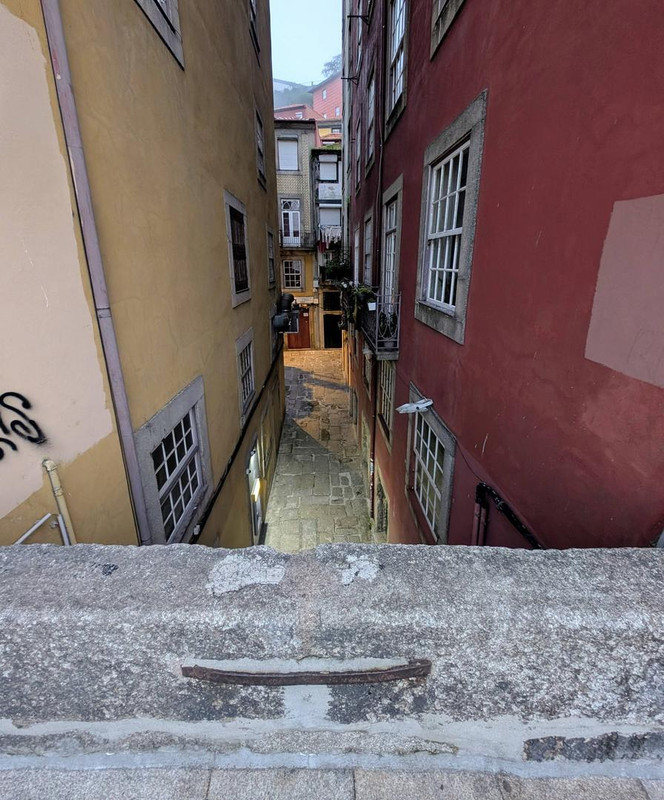 642733902 25574937008872595 8263678595279655703 n