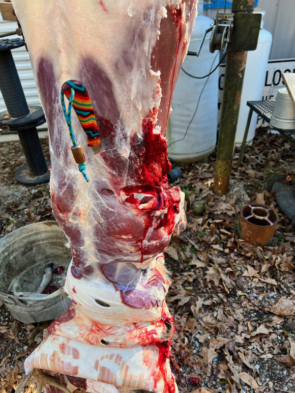 FC753406-45D4-4447-854B-917CE2505C78