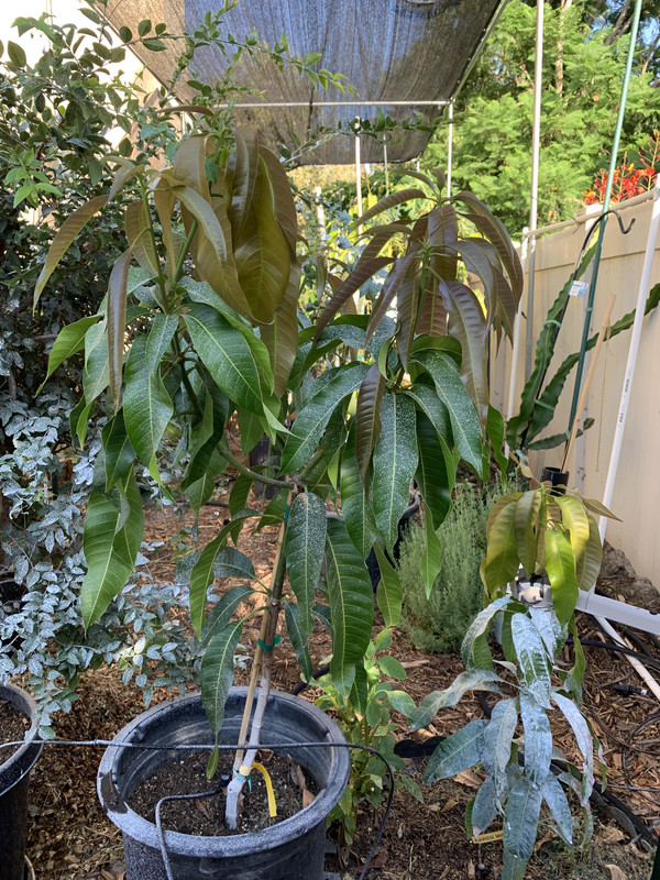 C127C2C4-423D-451E-B4E6-837079AB7CD2