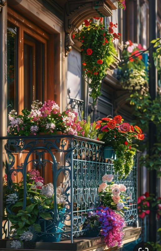 Screenshot_20240506_221142_Pinterest