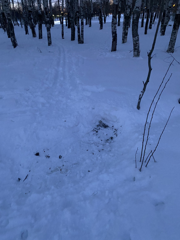 IMG 3543 — Postimages