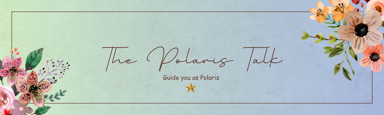 The Polaris Talk