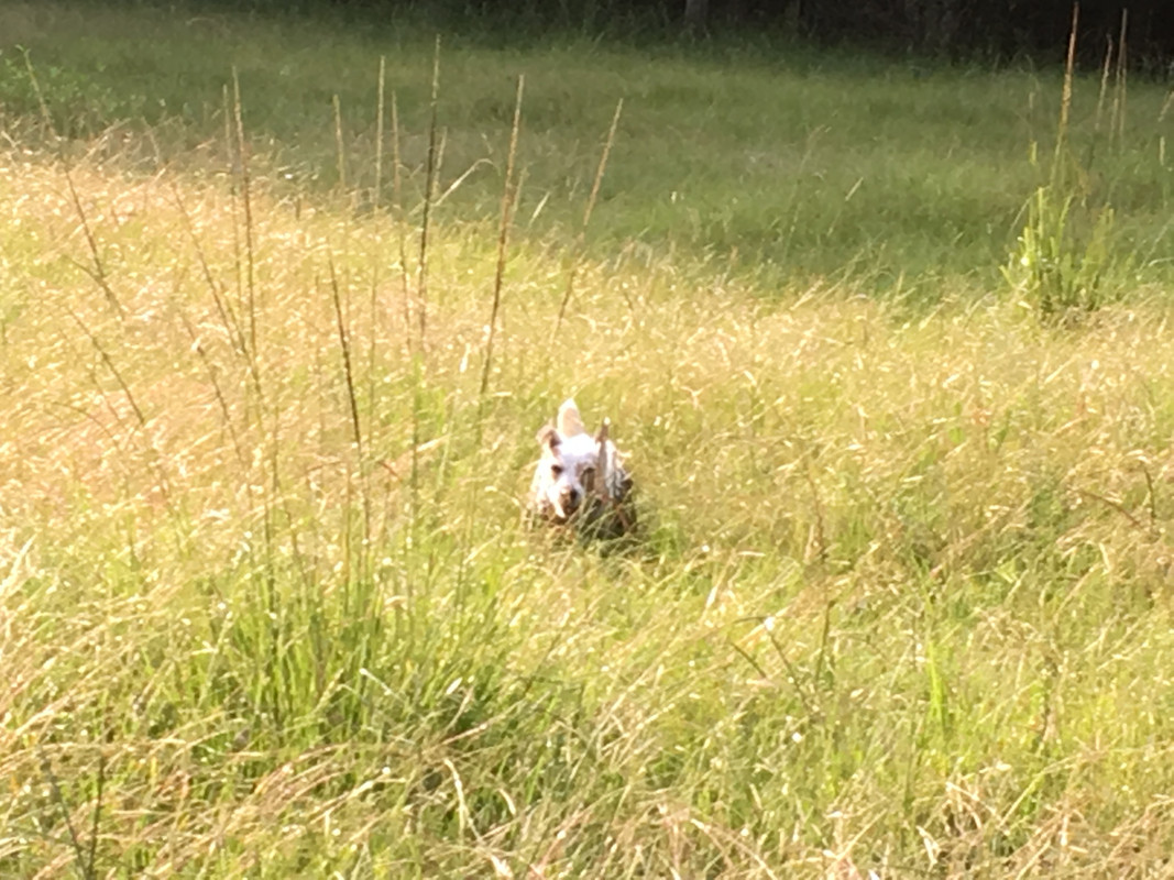 443E600C-B1D9-47A2-AD91-A32C18EA529E