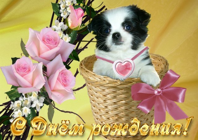 https://i.postimg.cc/J0qF6ncZ/49d288127ddd.jpg