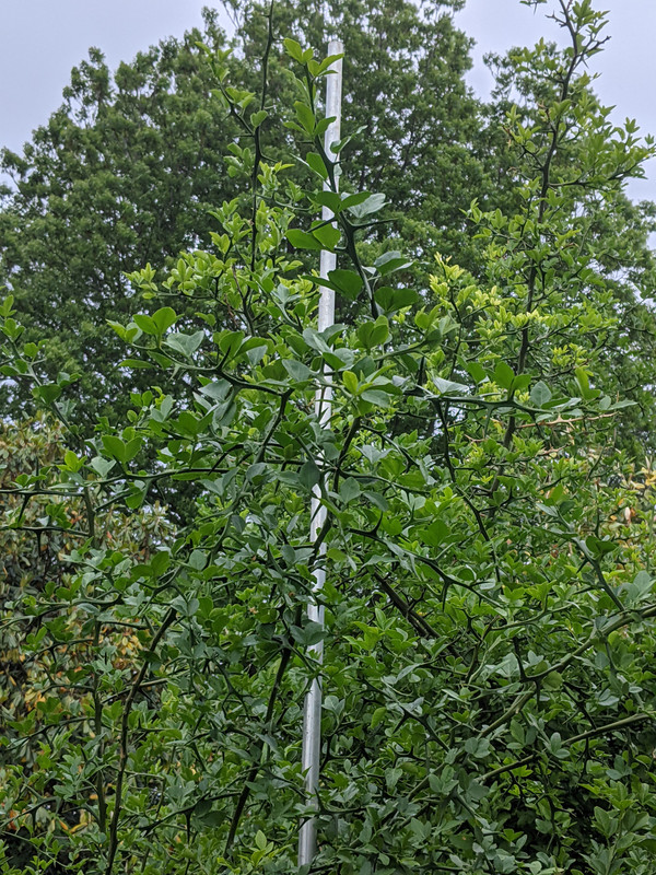 PXL_20210524_204734315.MP