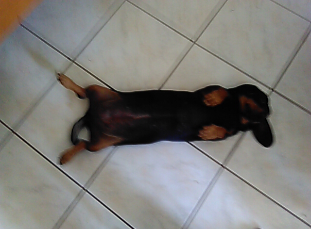 [Image: PANO-20211021-124423.jpg]