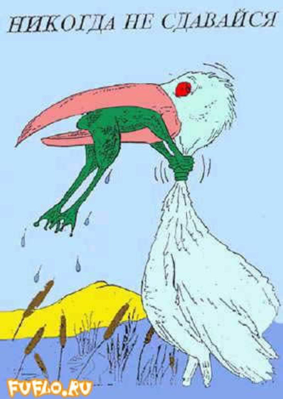 никогда не сдавайся