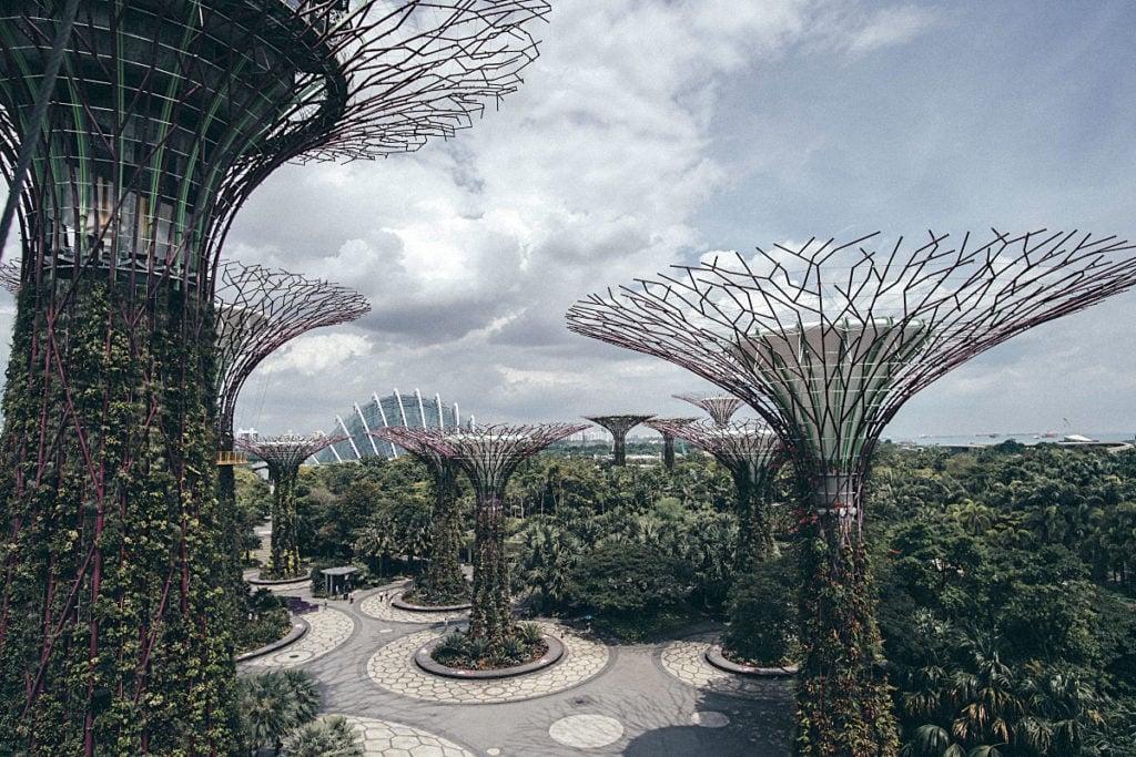 Flower Dome and Cloud Forest
