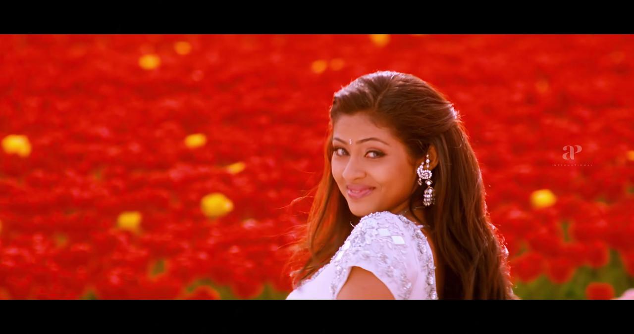 VideoCapture_20241122-195250