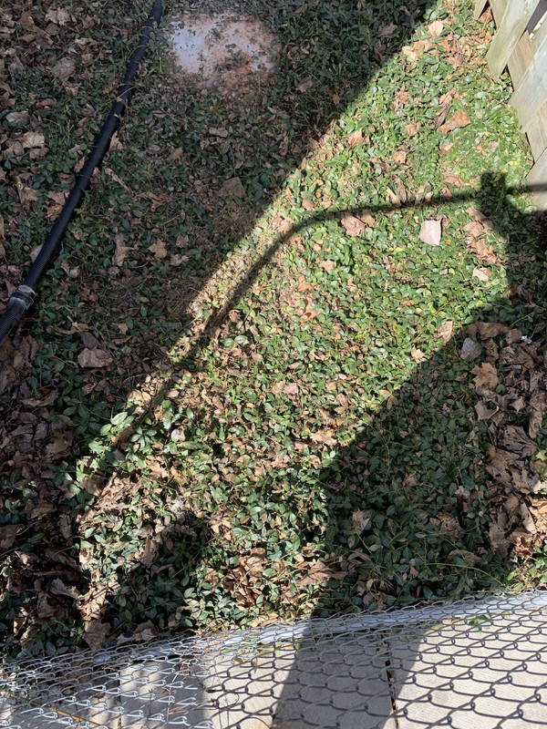 10D50455-1417-4514-B21F-1D7F11857C0B