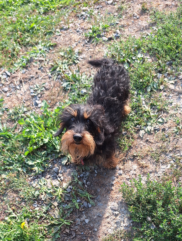 [Image: 20250818-094838.jpg]