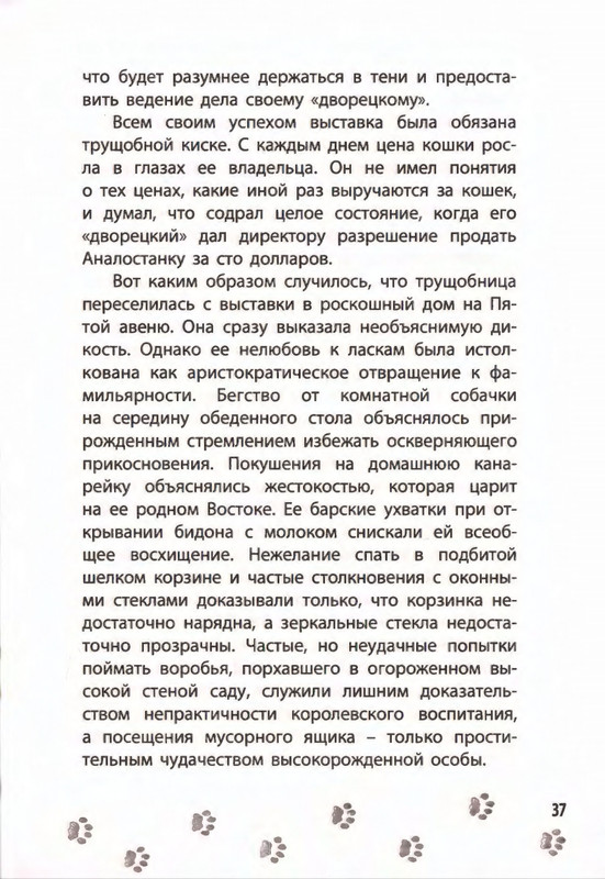 2019-page-0041
