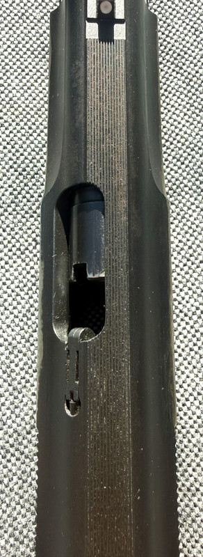 Graviertes Gewehr Ansicht 6