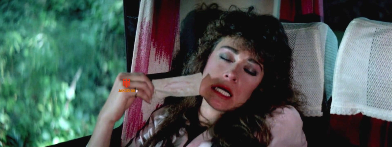 Lisa Friedman 11 - Nine Deaths of the Ninja 1985
