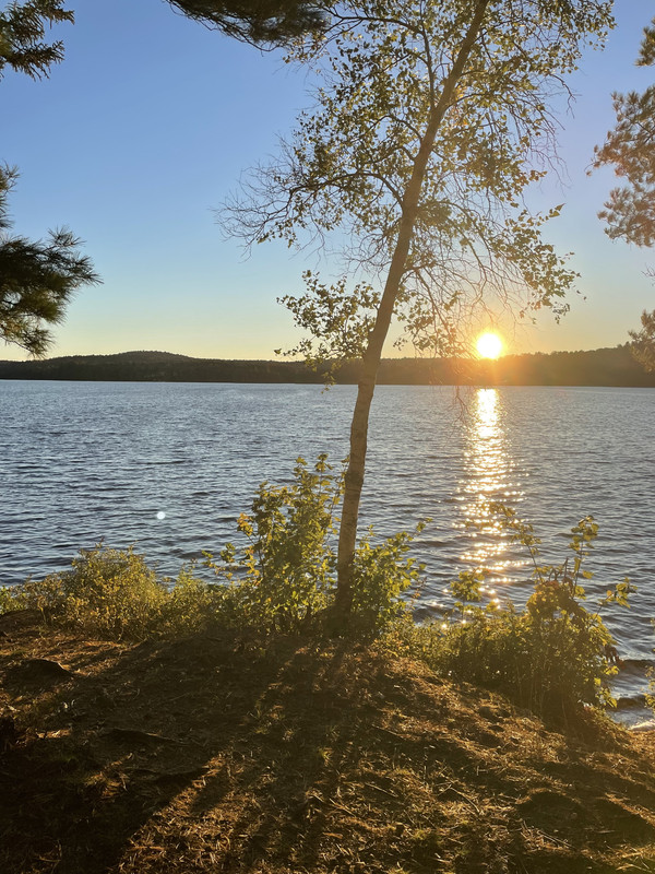 F3CE7290-F2CD-4EF8-A787-4BEF65E825C5