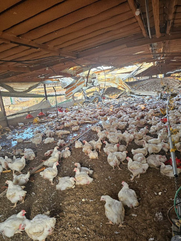 ۲۰۲۴۰۸۲۶_۰۶۴۵۱۹