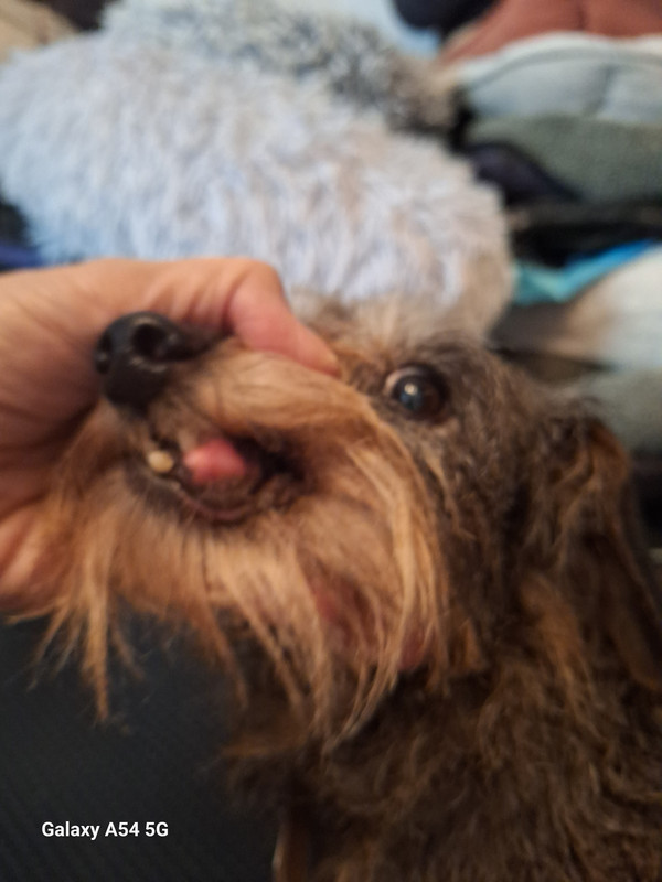 [Image: 20241124-181953.jpg]