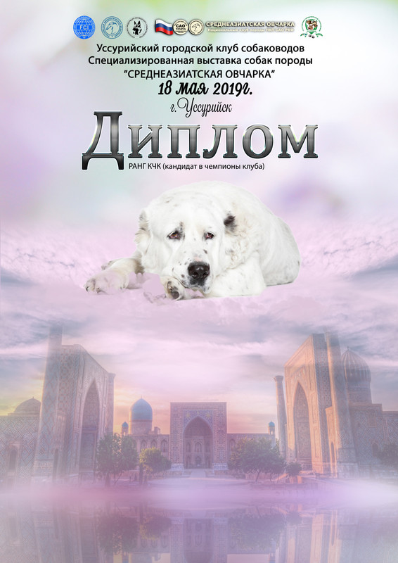 дипл средновч