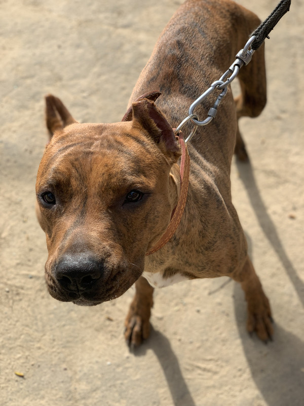 0F53F9CD-EC62-4105-A4A1-EFCB8A152A9A