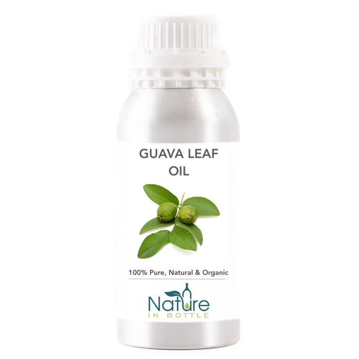 Guava Leaf Essential Oil Organic Psidium Guajava