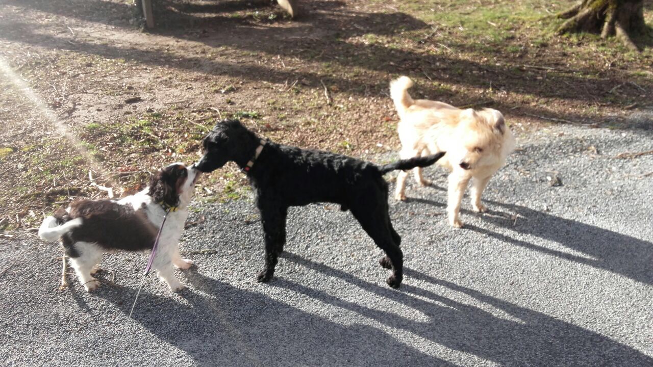 DBB98AFC-B14A-4CCD-AFE0-EC55B2320FFA