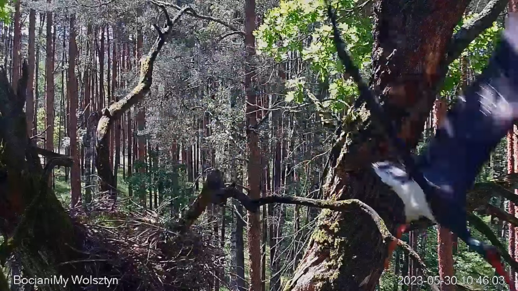 Zrzut ekranu (15856)